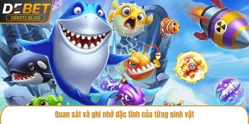 Quan sát và ghi nhớ đặc tính của từng sinh vật