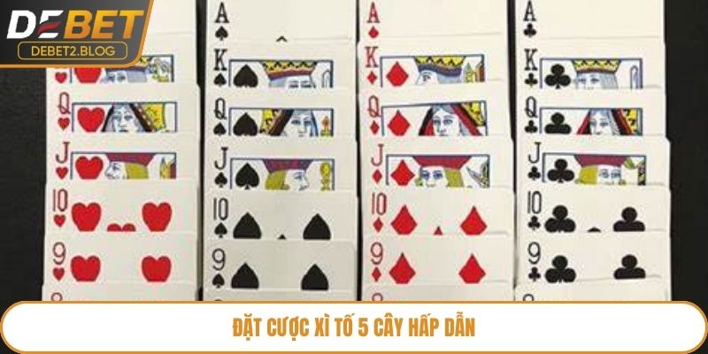 Tham gia thể loại 5 cây thú vị